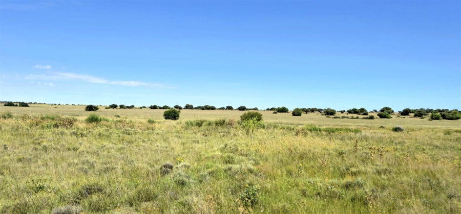 Commercial Property for Sale in Mangaung Free State